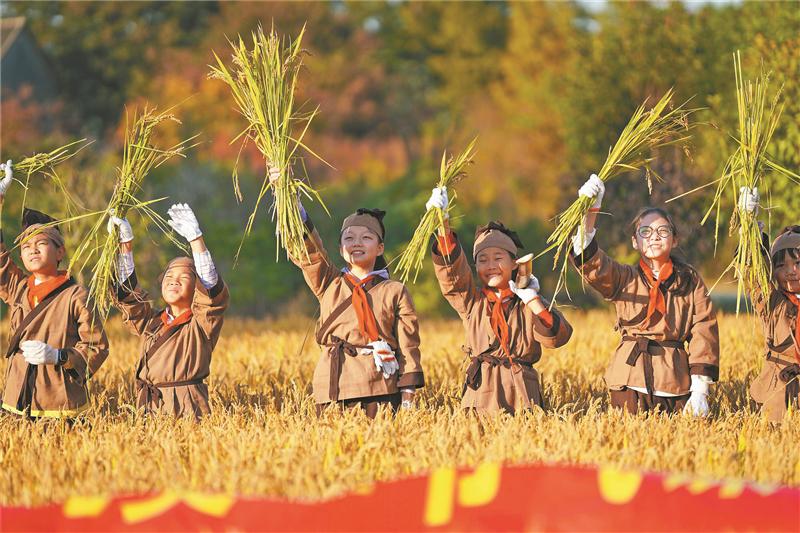 学生|小学生走进田野间